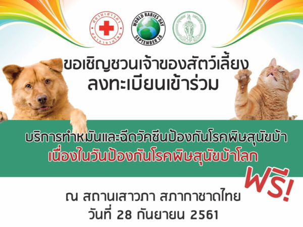 ทำหมัน 22