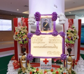 75485147_2802715926428719_3852288555854331904_O