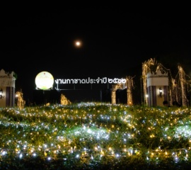 งานกาชาด 2562