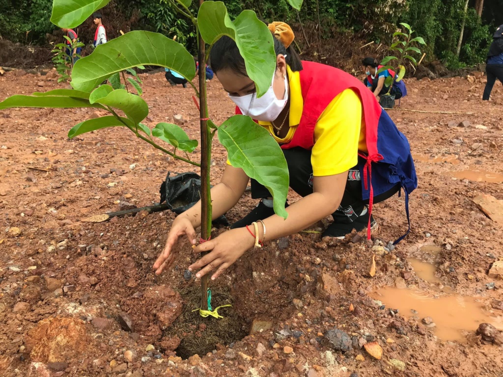 ป่าที่ภักดี