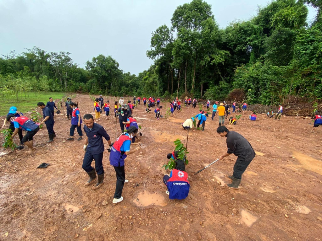 ป่าที่ภักดี