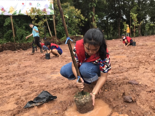 7 ป่าที่ภักดี