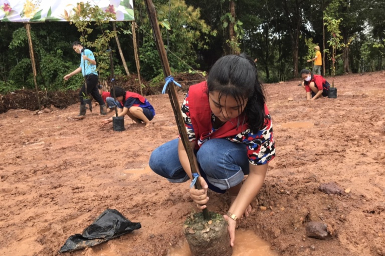 ป่าที่ภักดี