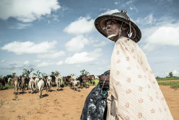 climate_change_conflict_samuel_turpin_mali ความเปลี่ยนแปลงสภาพอากาศ