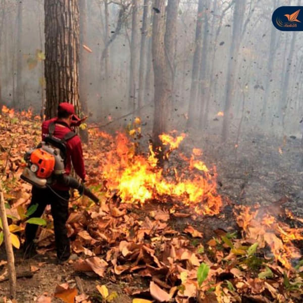 มนุษยธรรมกับสิ่งแวดล้อม