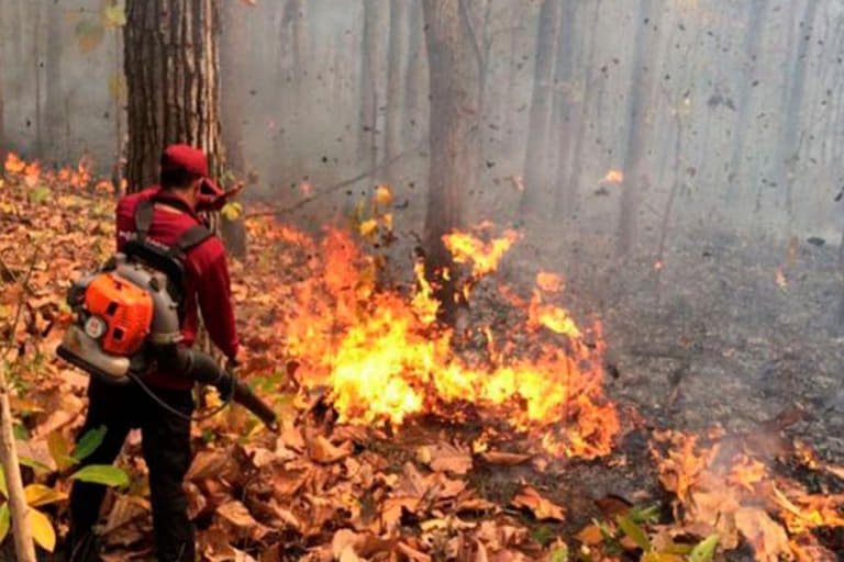 มนุษยธรรมกับสิ่งแวดล้อม