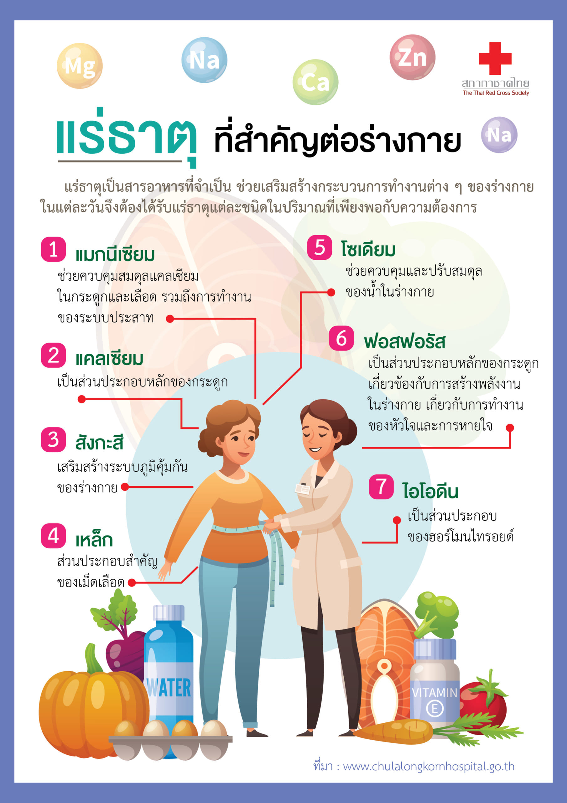 เรื่องแร่ธาตุที่สำคัญต่อร่างกาย - เว็บไซต์สภากาชาดไทย (ภาษาไทย)