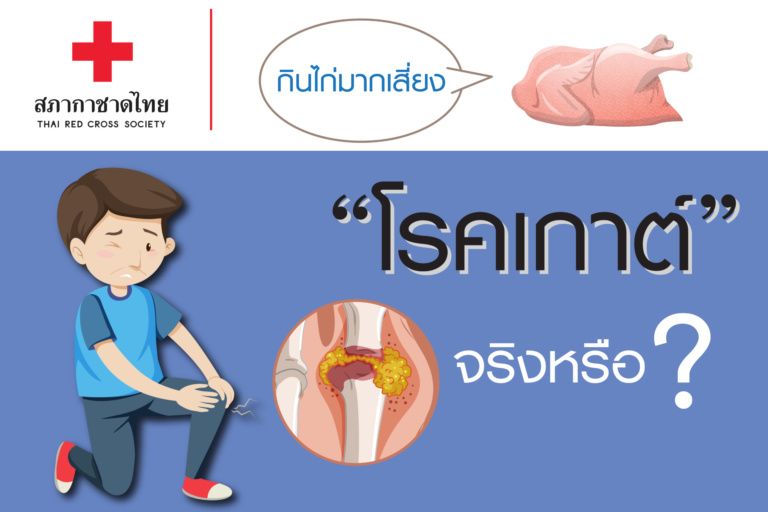 หน้าเปิด – 1 กินไก่มากเสี่ยง “โรคเกาต์” จริง