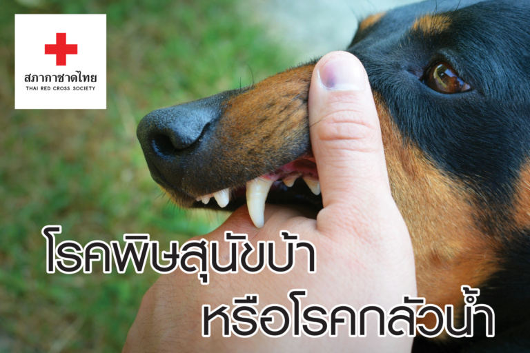 หน้าเปิด – 1 โรคพิษสุนัขบ้า-01