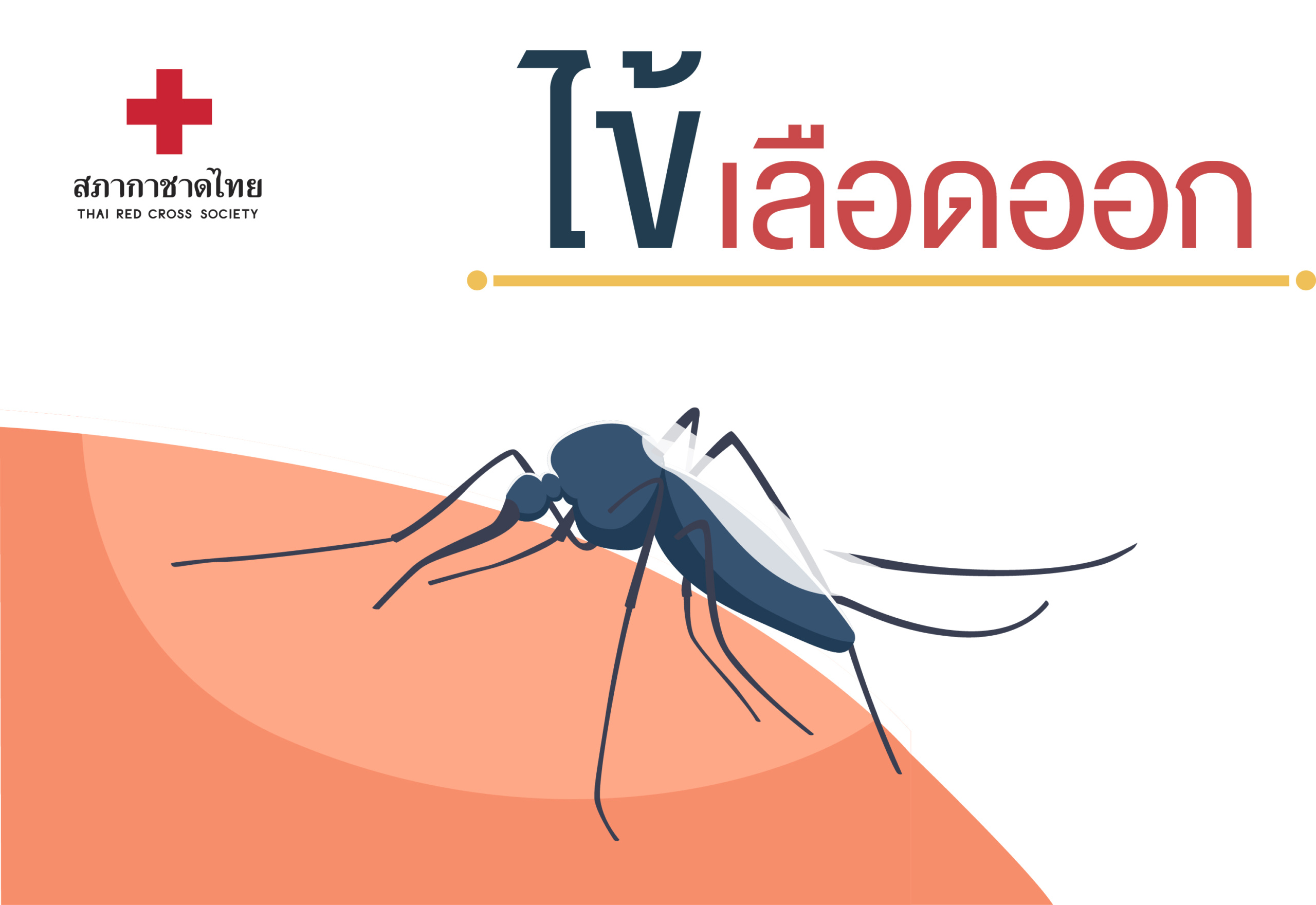 นองไขเนาหลด Pitrest - b6nr5e3