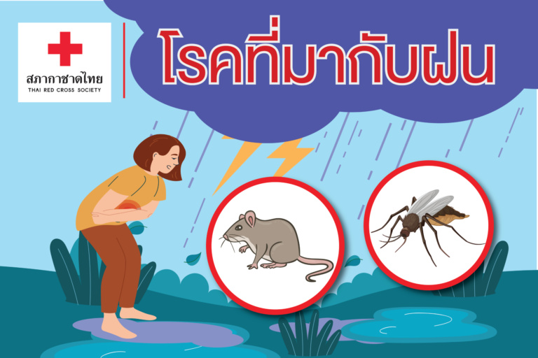 หน้าเปิด – โรคที่มากับฝน-01