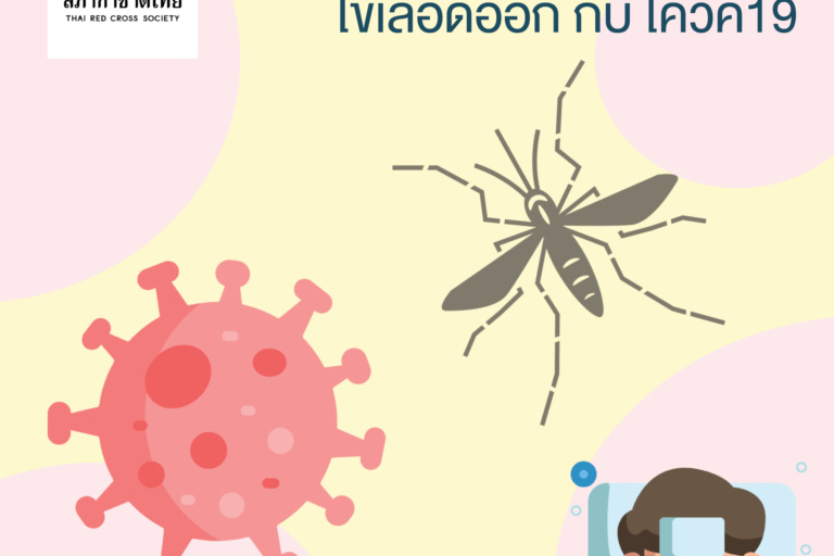 หน้าเปิด – ถึงคล้ายแต่ไม่เหมือนกัน! ไข้เลือ