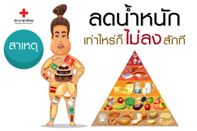หน้าเปิด – 2สาเหตุ ลดน้ำหนักเท่าไหร่ก็ไม่ลง
