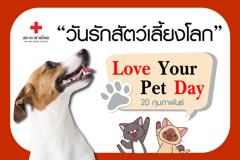 หน้าเปิดบทความ- วันรักสัตว์เลี้ยงโลก-01