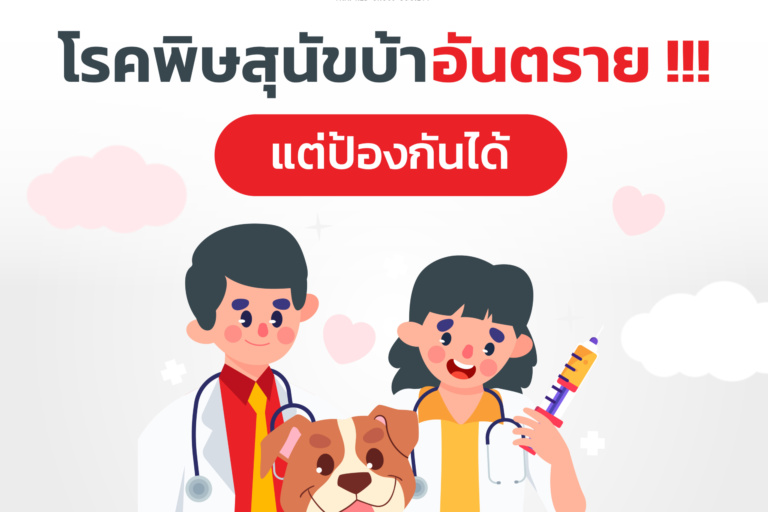 10.Cover_on_Website_September-02 โรคพิษสุนัขบ้า