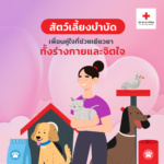 ภาพการ์ตูนผู้หญิงเสื้อม่วงอุ้มแมวสีเทาและสุนัข 2 ตัวยืนข้างๆ