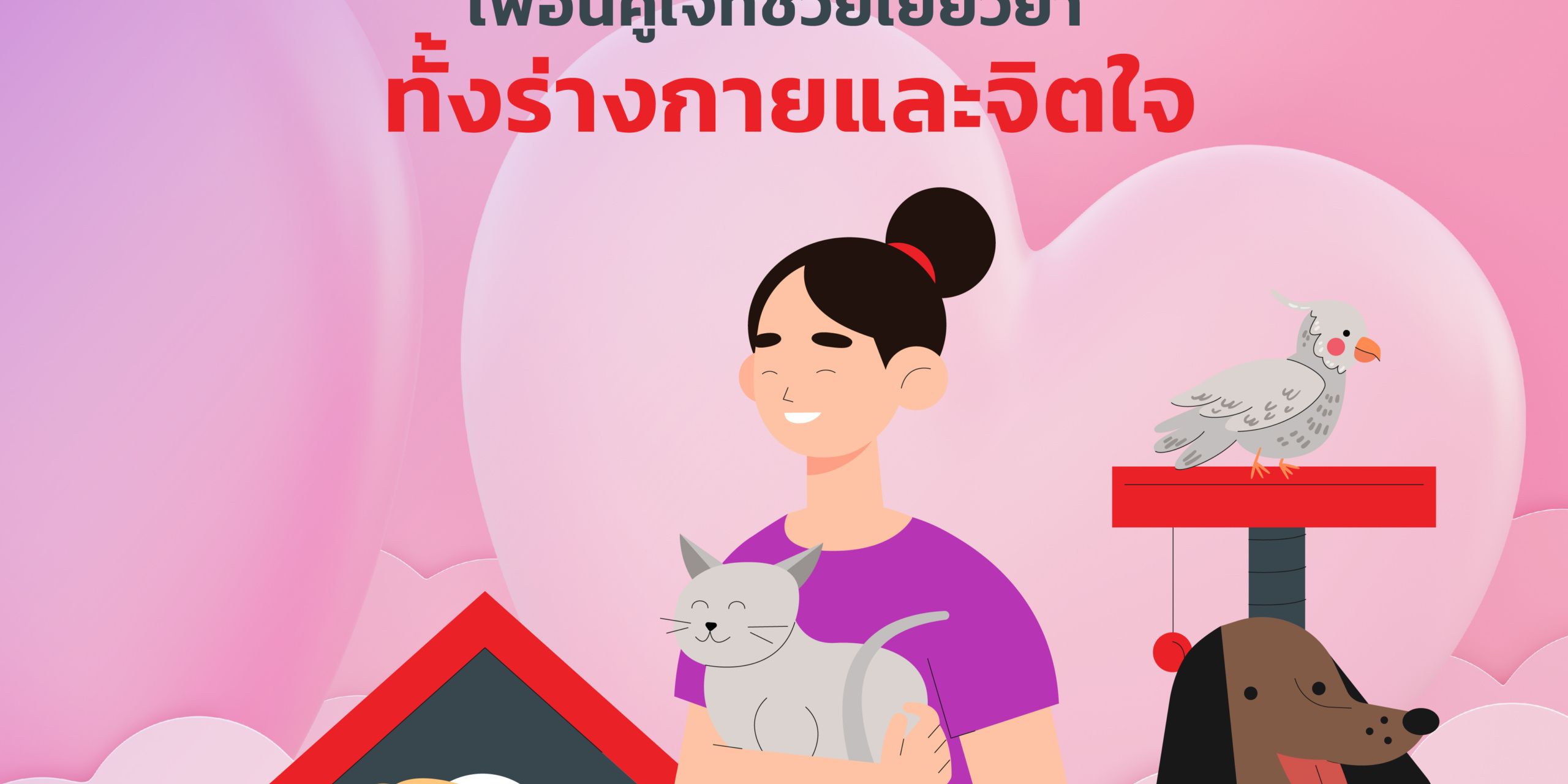 ภาพการ์ตูนผู้หญิงเสื้อม่วงอุ้มแมวสีเทาและสุนัข 2 ตัวยืนข้างๆ